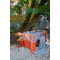 Скатерть на стол из хлопка оранжевого цвета russian north, 150х250 см